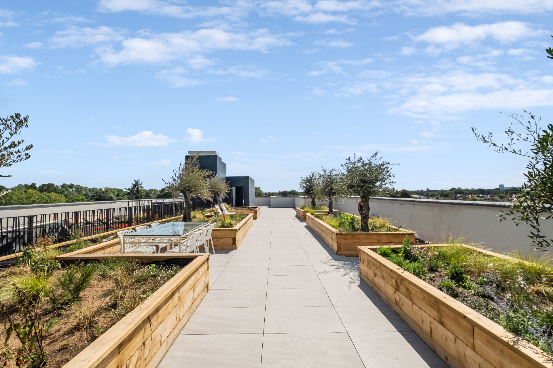 Communal rooftop terrace with planters and olive trees